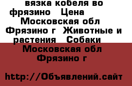 вязка кобеля во фрязино › Цена ­ 5 000 - Московская обл., Фрязино г. Животные и растения » Собаки   . Московская обл.,Фрязино г.